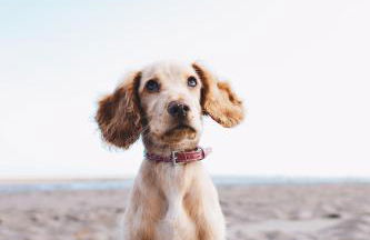 Residence Mimosa - Photo 48