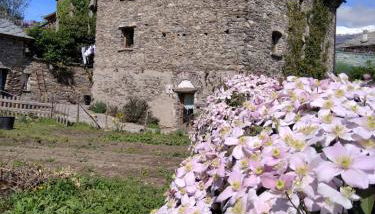 Il noce e la strega - Foto 2