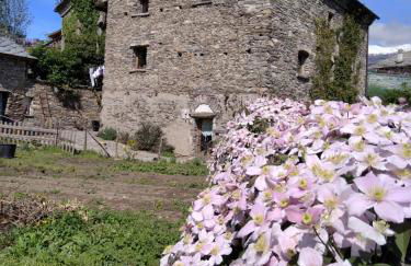 Il noce e la strega - Foto 2