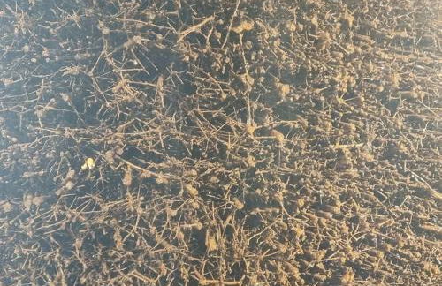 Ferienwohnung direkt am Kurpark mit Gradierwerk Solestadt - Foto 15