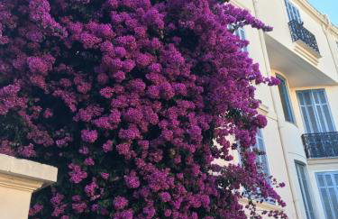 Amazing Studio Cannes Centre - Terrasse ensoleillée - 5 min Croisette - Foto 30