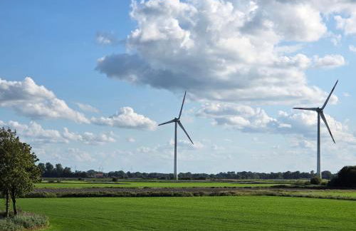 Küstenkännchen - Photo 9