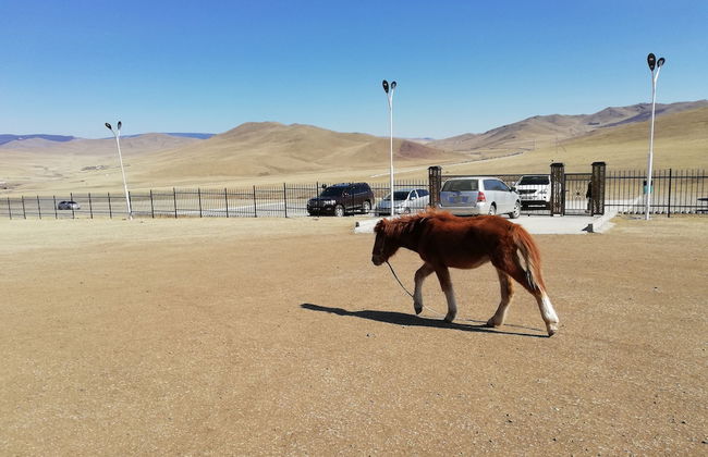 Mandala Bliss Mongolia - Foto 17