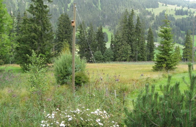 Chalet Nyati - Foto 5