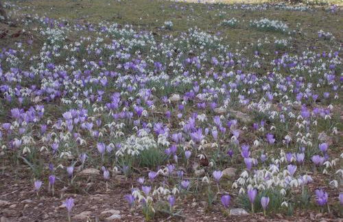 Ferienwohnung "Hinter den sieben Bergen" - Foto 18