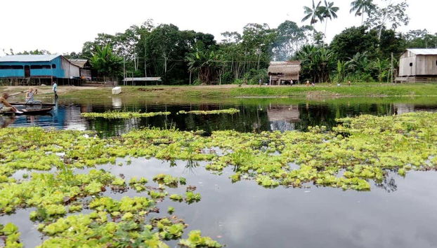 Leticia, capitale du département d'Amazonas