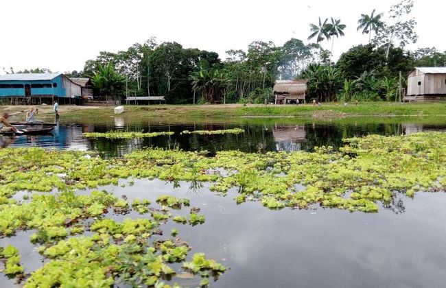 Tour privato di Leticia - Foto 1