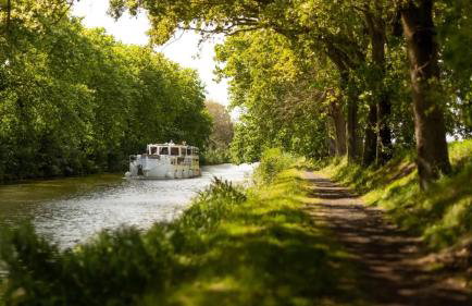 Maison proche de la Cité avec jardin - Foto 16