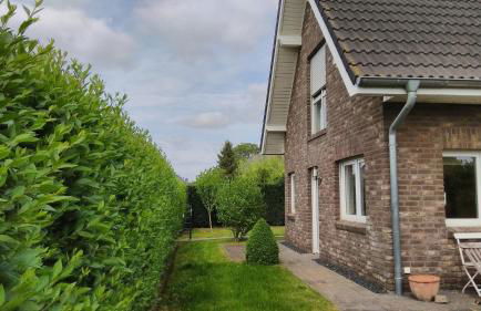 Ferienhaus-Kalkar - Foto 34