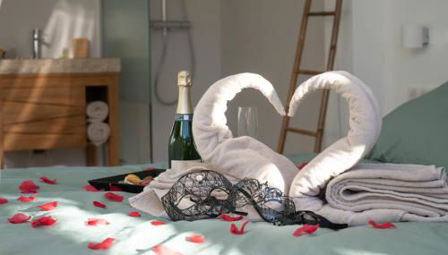 Lovina chambre de charme avec jacuzzi - Photo 2