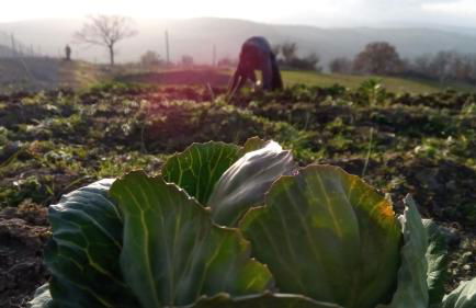 Agriturismo Costa San Bernardo - Foto 16