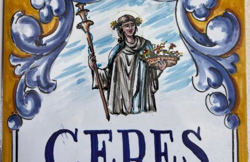 Alojamientos Ribera del Tajo - Foto 20