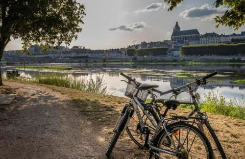 Gîte Ker Sologne Aux portes de Chambord - Foto 40