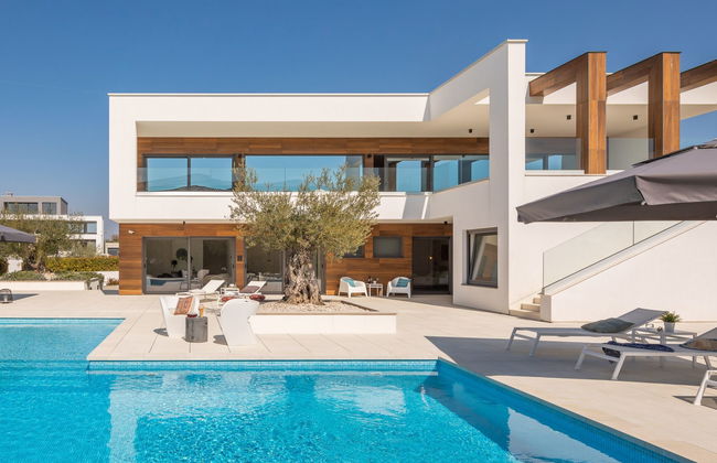 Old Olive VIII - Foto 6