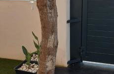 Ca Na Xisca - Foto 17