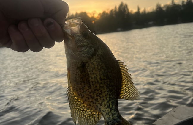 Betula Lake Resort - Foto 23