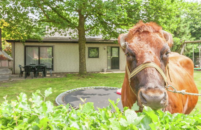 Uden Chalet With Scenic Terrace - Foto 31