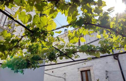 Dimore di Bacco - Foto 2