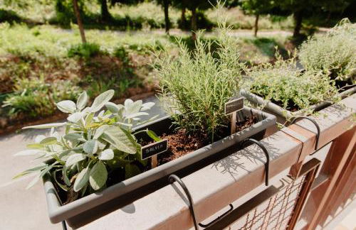 14K Green House Peschiera del Garda, 5min da Gardaland - Foto 27