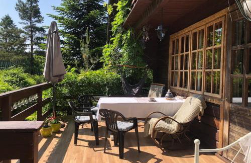 House in the forest in Podlasie - Foto 1