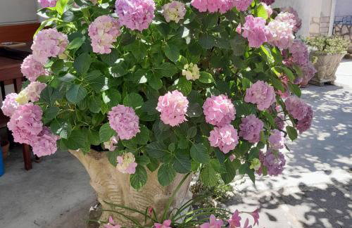 Apartments Renata - Brseč - Foto 31