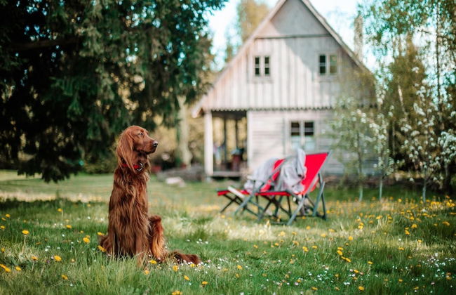 Holiday Home in Belczna Near Lake and Forests - Foto 26