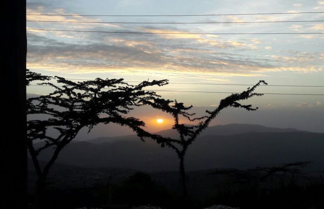 Patch of heaven - In Kiserian - Foto 50