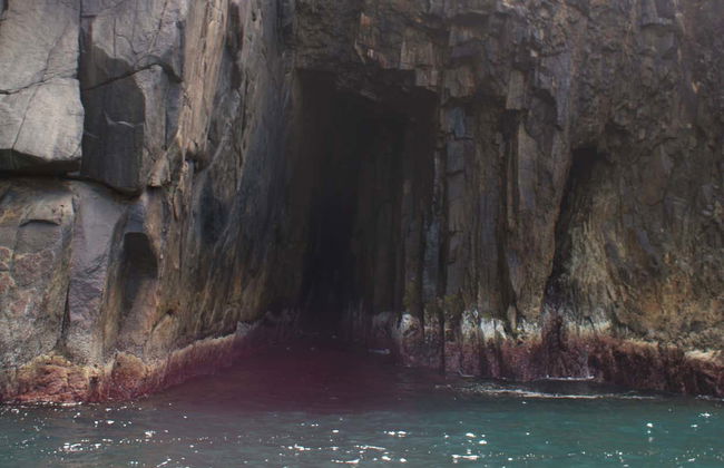 Bonete & Indaiaúba Boat Ride - Photo 7