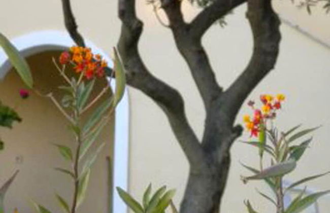 Natalia Apartment B With Panoramic sea Views of Agios Gordios bay - Foto 35