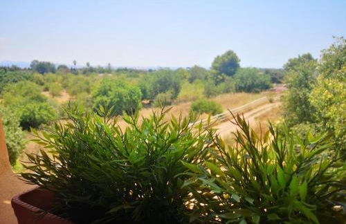 Villa Nice Mallorca - Foto 53