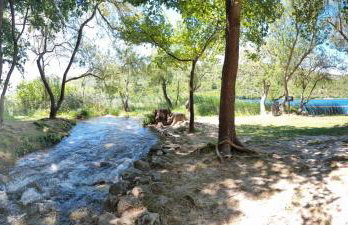 Villa Stone Medal - Photo 110