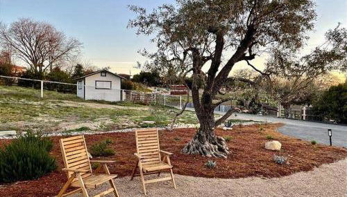 Olive and Stone - Foto 4