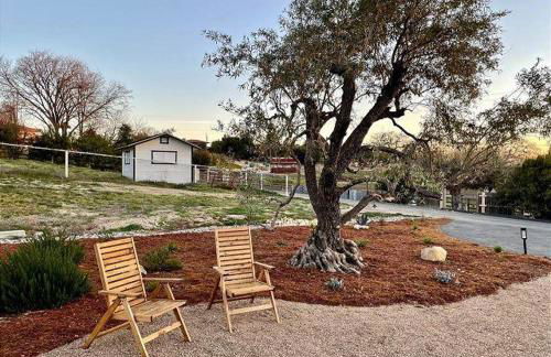 Olive and Stone - Foto 4