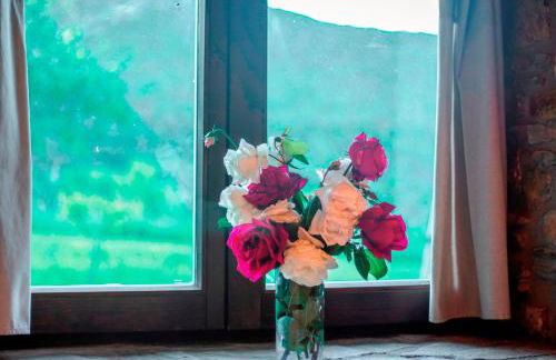 Rural Médulas Viviendas de uso turistico 2 y Casas rurales 2 - Foto 33