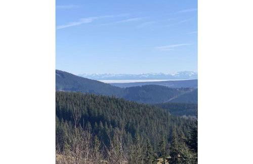 on the Willmann farm - Foto 14