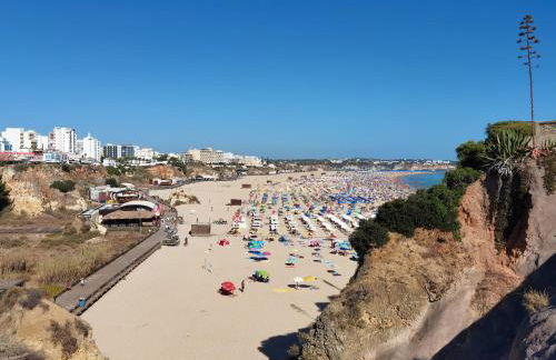 Apartment Rocha Varandas Amazing - Foto 42