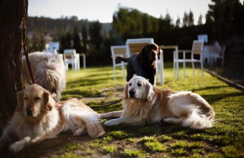 Keyser Rooms - Photo 49