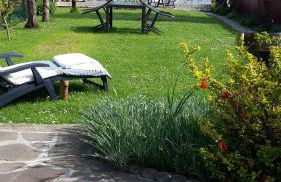 FeWo Direkt Am See - Malchow - Foto 22