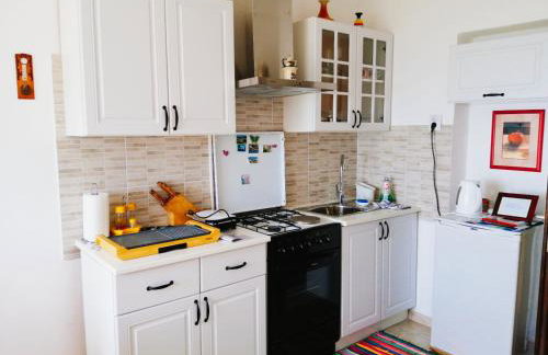 FoREST Heritage Apartment - Foto 5