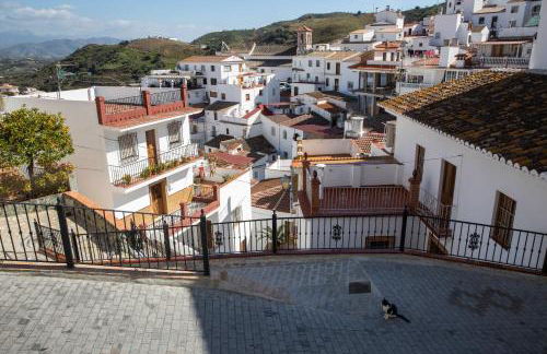 Casa de Luz - Foto 36