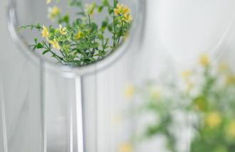 La Terra Nostra city - Foto 58