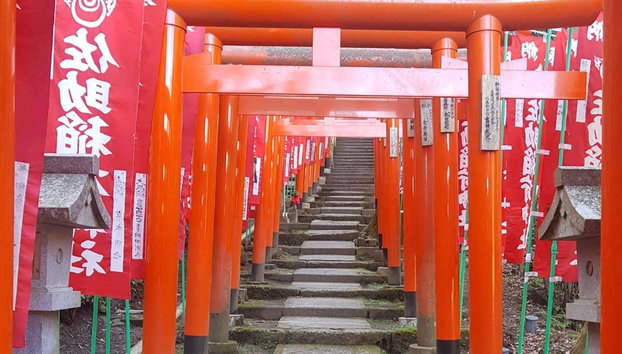 Excursion privée à Kamakura - Photo 3, Immergez-vous au coeur des traditions japonaises