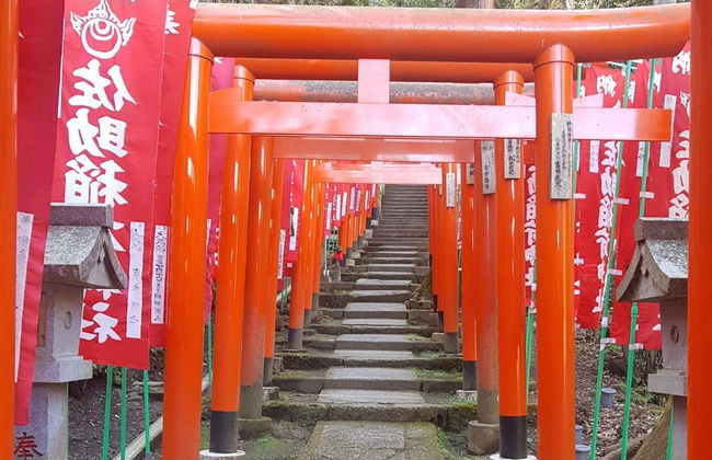 Kamakura & Enoshima Private Day Trip - Foto 3