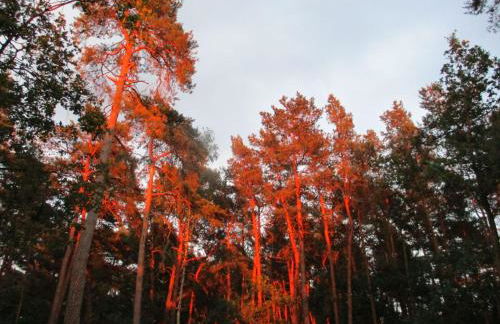 Apartment Appartement mit Garten- Grill und Terrasse by Interhome - Foto 5