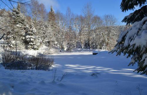 LE CHALET VOSGIEN bain nordique Kota Grill - Foto 42