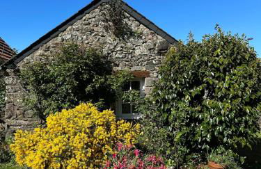 Family house with character, Large garden - Foto 9