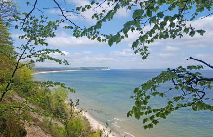 Ferienwohnungen an der Hagenschen Wiek auf Rügen - Foto 14