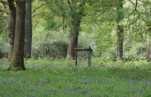 The Old School - Photo 24