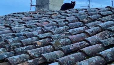 Appartamento Viola 27 - Photo 4