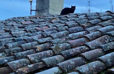 Appartamento Viola 27 - Photo 4